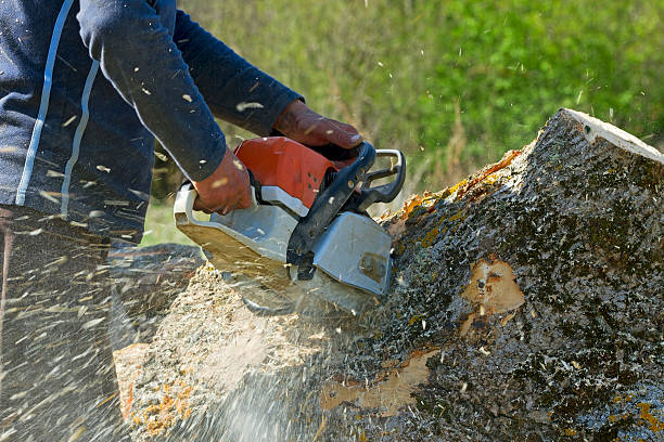 Landscape Design and Installation in Hudson, WI
